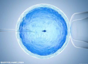试管代孕费用多少